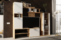 Гостиная Данко