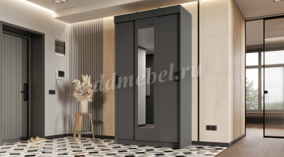 Шкаф-купе Эко (Графит)