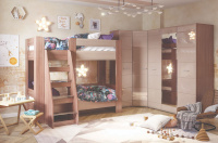 Симба общая