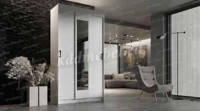 Шкаф-купе Эко (Белый)