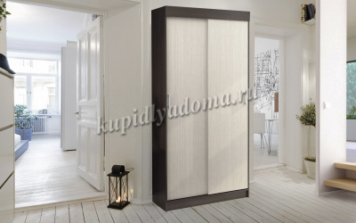 Шкаф-купе Евро  (Венге/Дуб атланта)