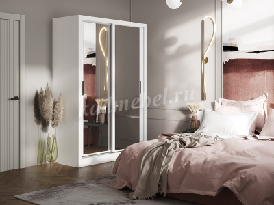 Шкаф-купе Дрим-2 1500 (Белый)