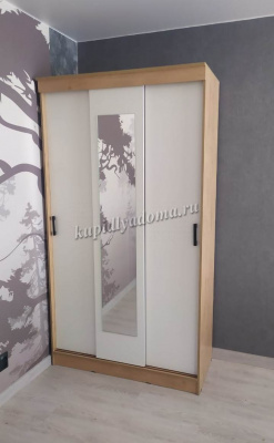 Шкаф-купе Эко (Дуб Вотан/Белый)